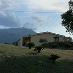 乡村民宿 I Due Ulivi - Strada Per La Caletta