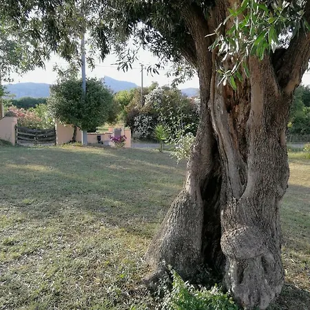 I Due Ulivi - Strada Per La Caletta Landsted