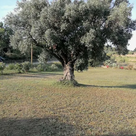 I Due Ulivi - Strada Per La Caletta