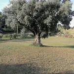 I Due Ulivi - Strada Per La Caletta