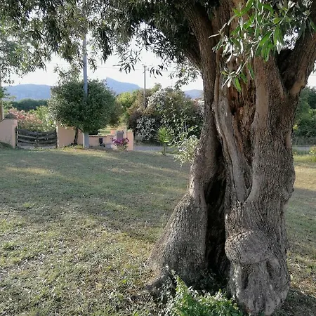 I Due Ulivi - Strada Per La Caletta Landhuis